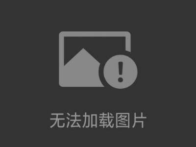 意大利WAM振動電機激振器MVE300N